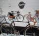 pashley1_small.jpg
