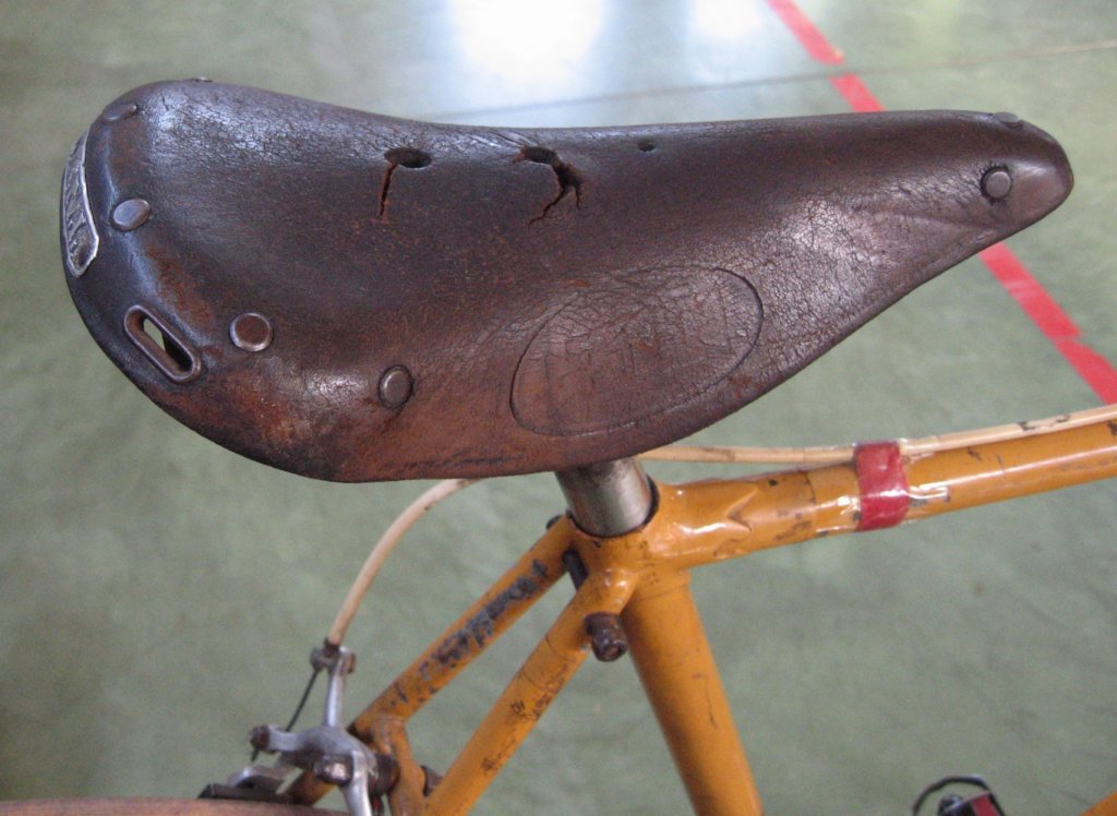 wolsitsaddle.jpg
