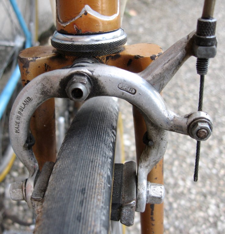 polishbikebrakecaliper.jpg