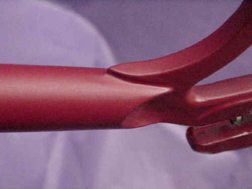 Bigred_5.jpg (87517 bytes)